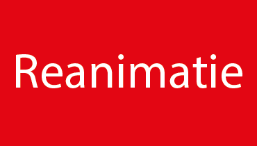 Reanimatie